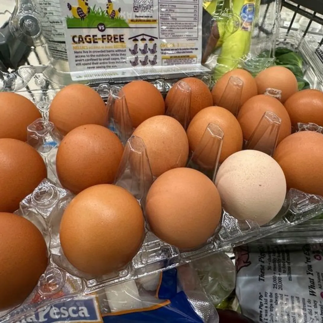 U.S. Egg Prices Hit Record High Despite Political Optimism