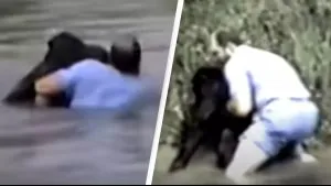 P3. Heroic Rescue: Man Saves Drowning Chimpanzee After Zoo Refuses Help