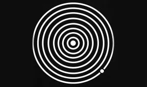 P3. The Number of Circles You See Determines If You’re a Narcissist: Exploring Optical Illusions, Personality, and the Myth Behind the Meme