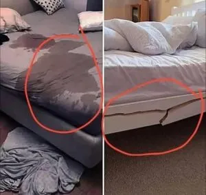 P4. “Have You Ever Got a Bad Review from a B&B – and What Was It For?” Here’s What Hosts (and Guests) Can Learn P4. “Have You Ever Got a Bad Review from a B&B – and What Was It For?” Here’s What Hosts (and Guests) Can Learn