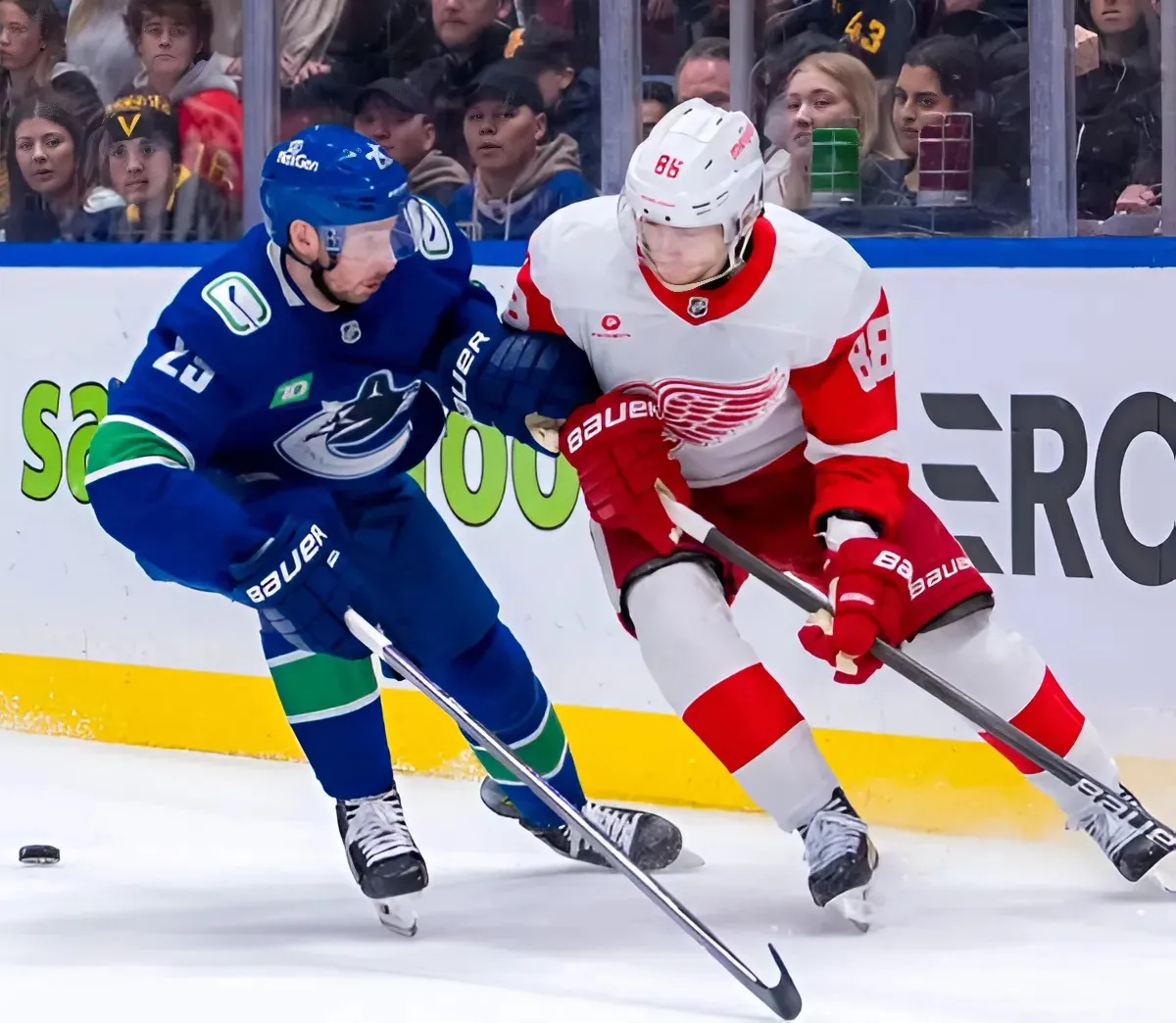 NHL Rumours: Detroit Red Wings Hope to Bring Back Forward