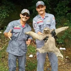 S2. 30 Weird images you could only find on the internet