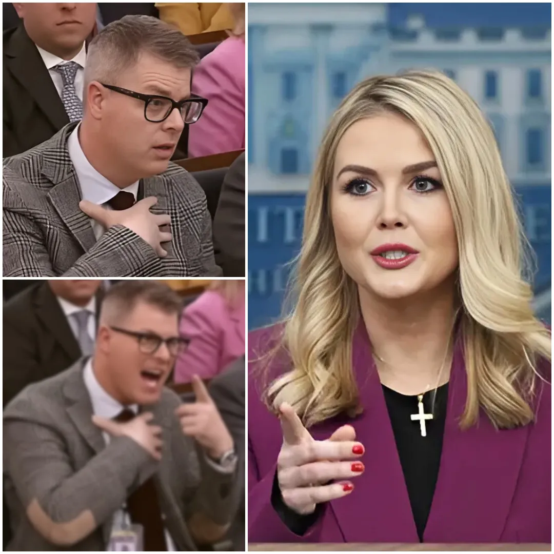 THIS JUST HAPPENED: Shocking Fallout—Reporter FIRED After INSULTING Karoline Leavitt on Live TV! In a dramatic turn of events, a reporter was fired after making a humiliating insult toward Karoline Leavitt during a live interview THIS JUST HAPPENED: Shocking Fallout—Reporter FIRED After INSULTING Karoline Leavitt on Live TV! In a dramatic turn of events, a reporter was fired after making a humiliating insult toward Karoline Leavitt during a live interview