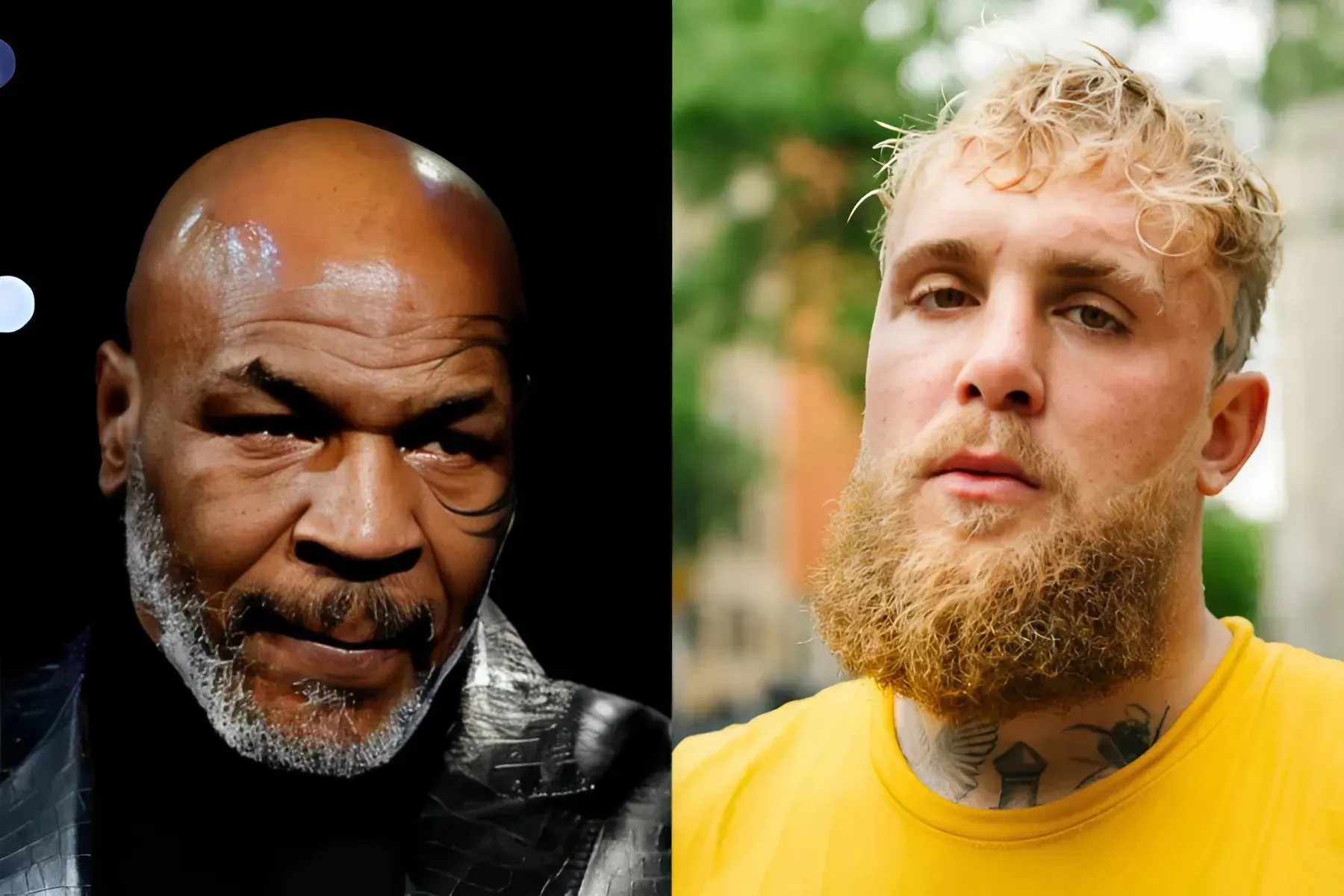 Jake Paul Secures $48 Million Spot Among Boxing's Top Earners, Disappointing News for Mike Tyson trucc
