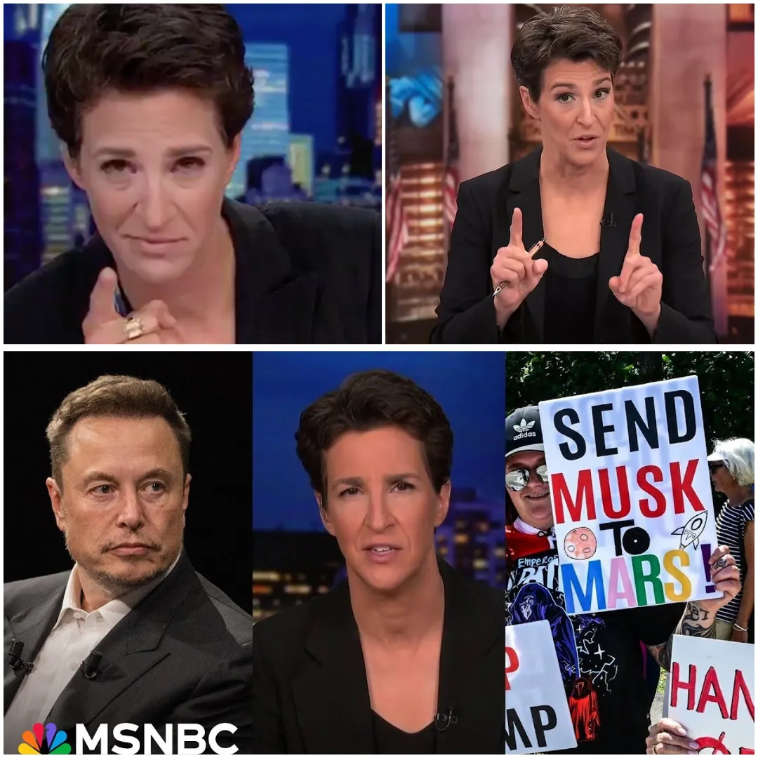 EXPLOSIVE: Rachel Maddow Exposes MSNBC’s Crisis – Employees Drop the Bombshell That Left Her Silent!