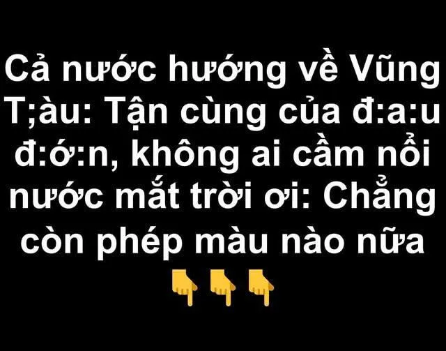 Cả nước hướng về Vũng :Tà.u