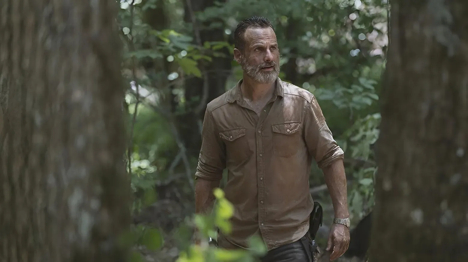 Why The Walking Dead Movies Never Happened Why The Walking Dead Movies Never Happened