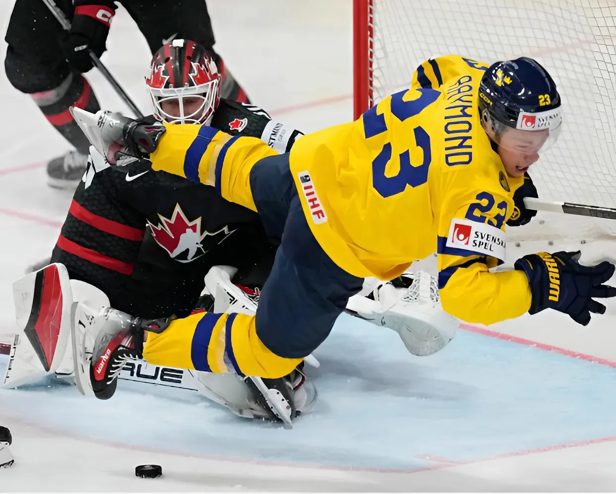 Red Wings’ Lucas Raymond not done playing this season