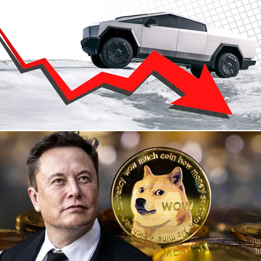 Elon Musk Saves $160,000,000,000 for Trump but Tesla Bleeds 71 Percent Profit Loss