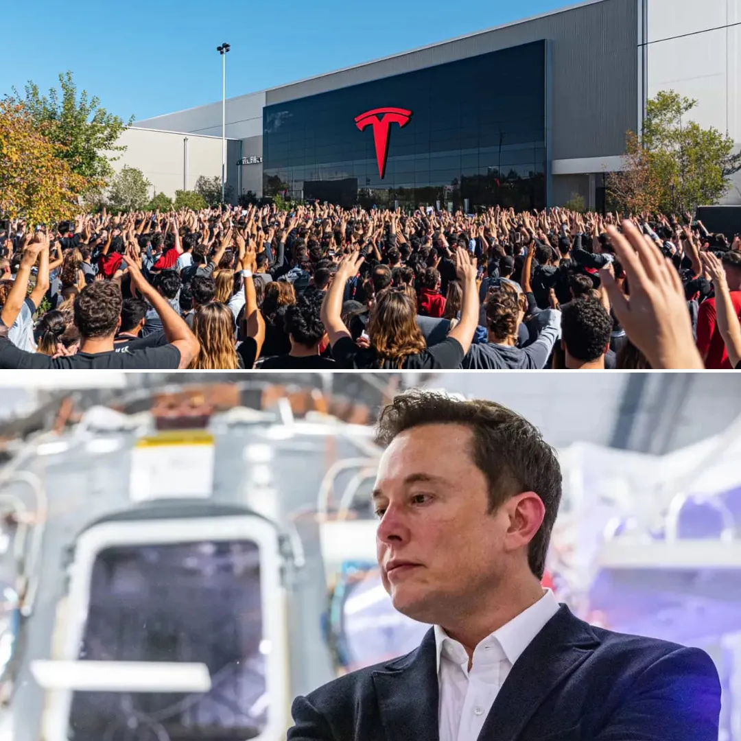 Tesla Expands Workforce by 1,000 to Accelerate Semi Production and Meet Rising Demand