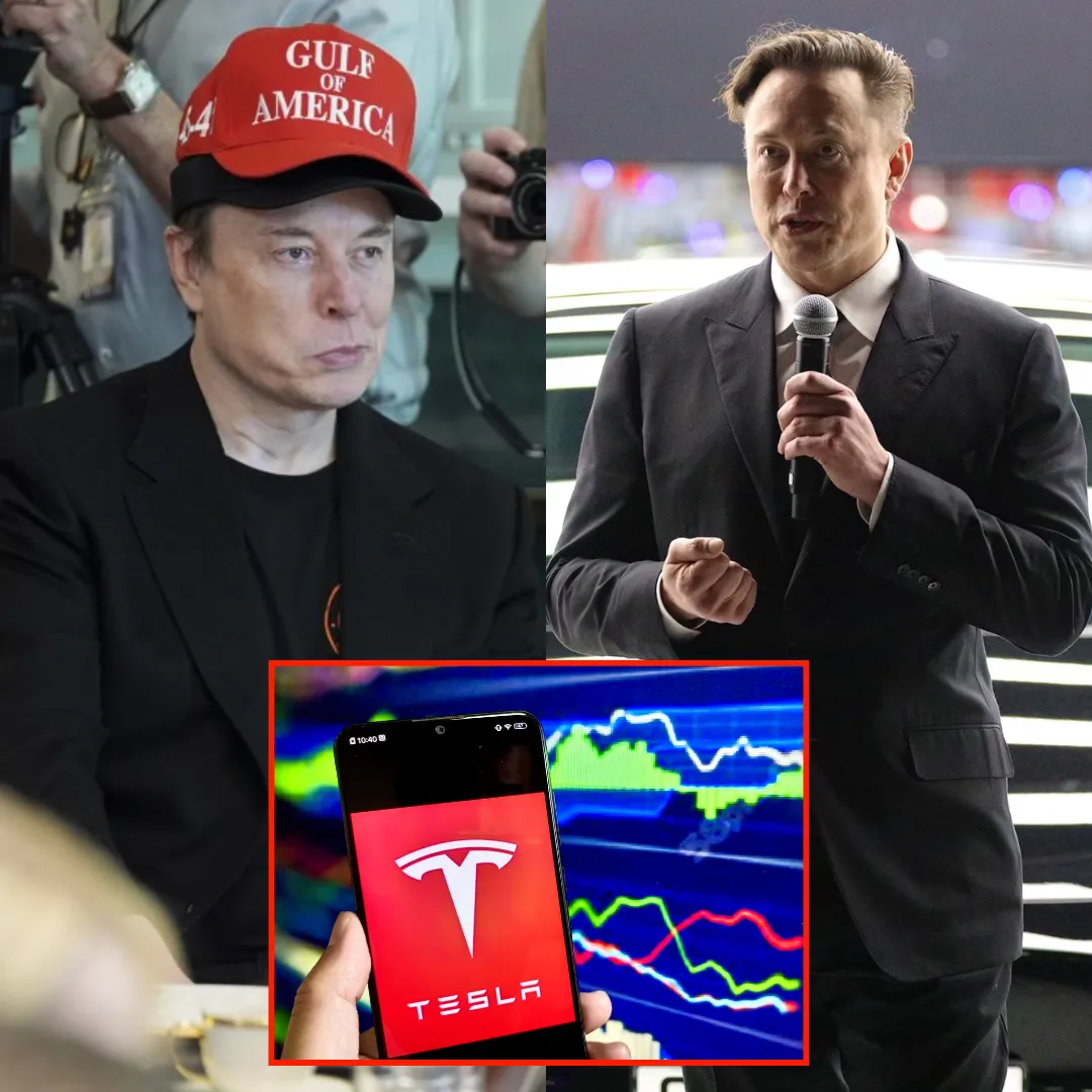 Tesla Loses $800,000,000,000 in Just Four Months, Prompting Furious Board to Hold Elon Musk Accountable for Historic Collapse