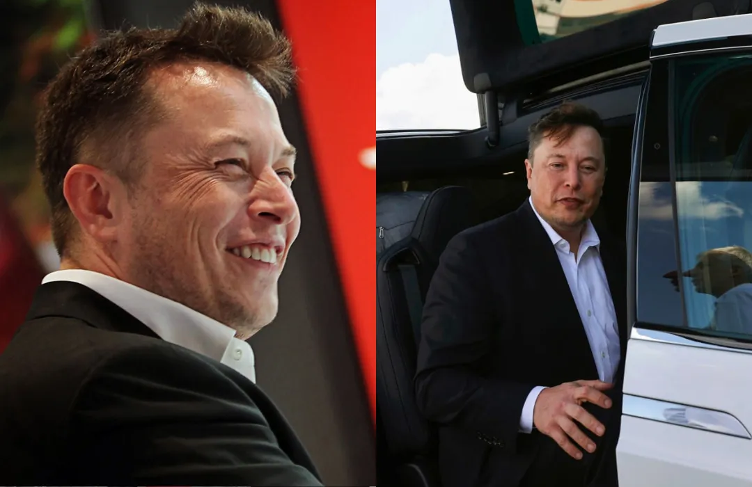 Tesla Stock Plunges as Board Begins Secret CEO Search to Replace Elon Musk Amid Profit Collapse