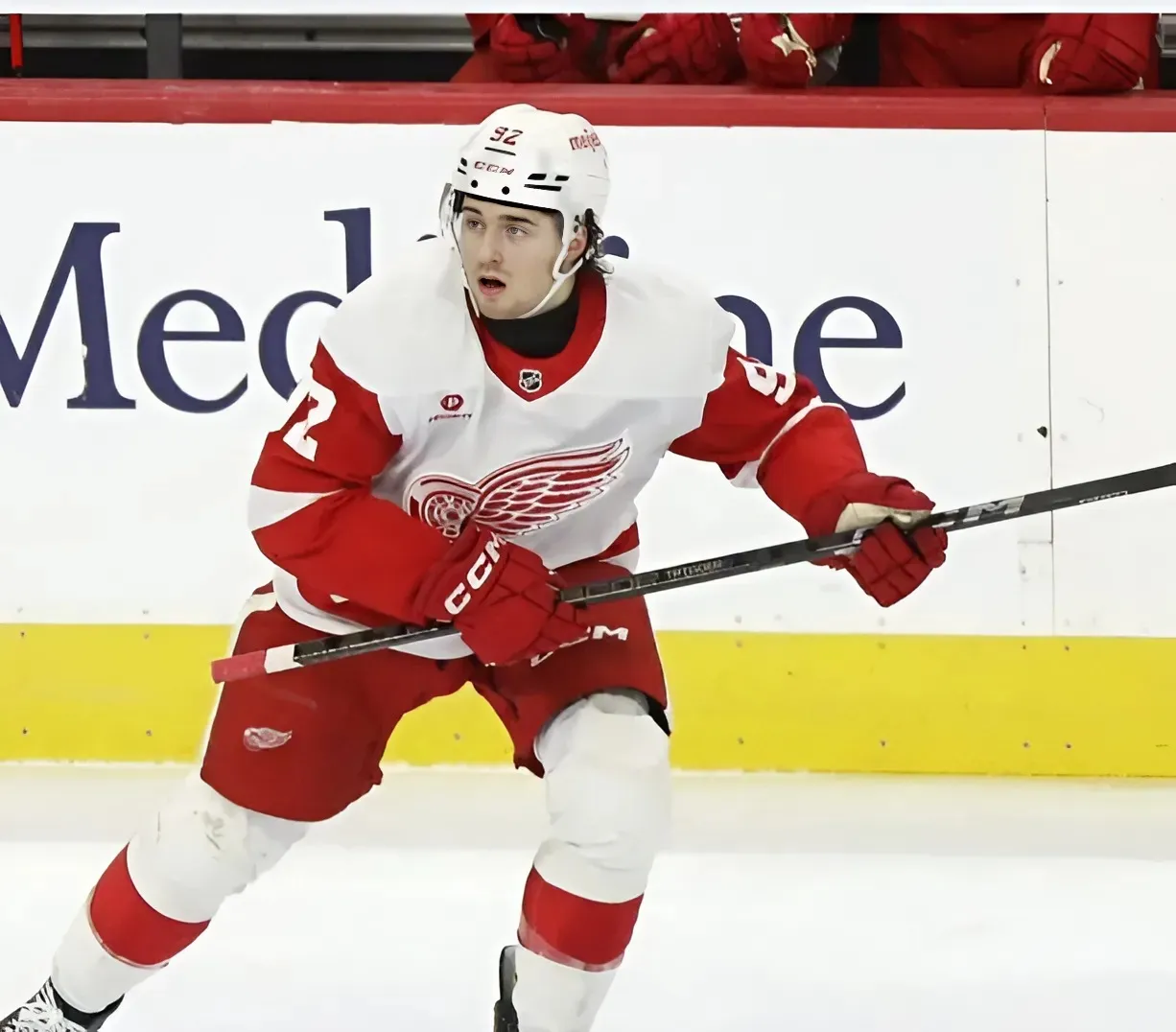 Analyzing the Red Wings’ Organizational Depth Heading Into 2025-26