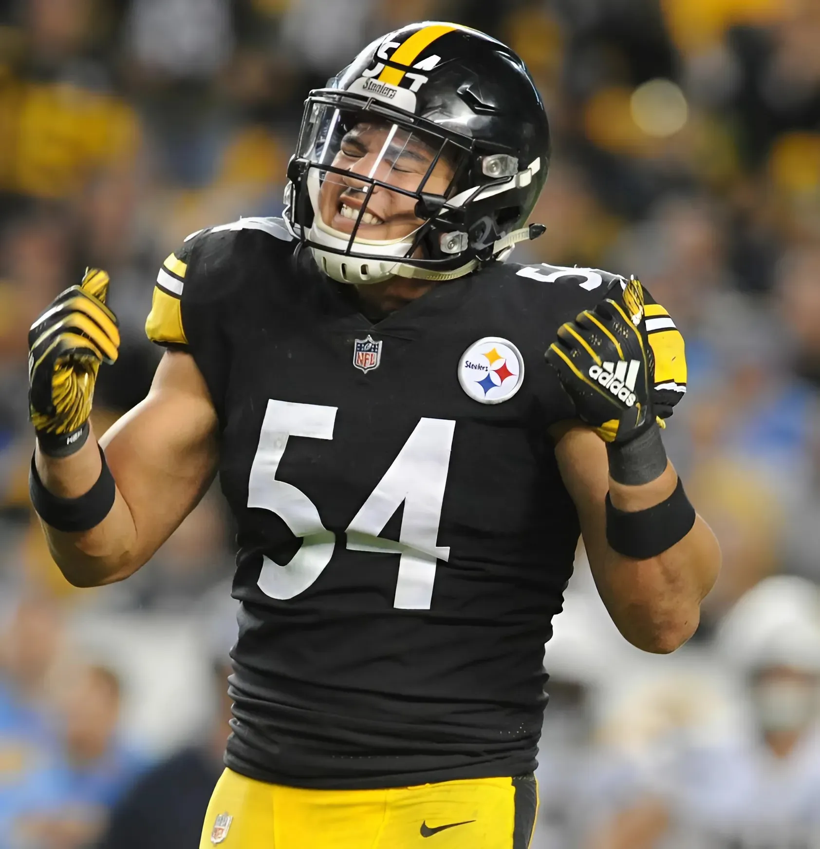 L.J. Fort Announces Retirement After 8-Year NFL Journey