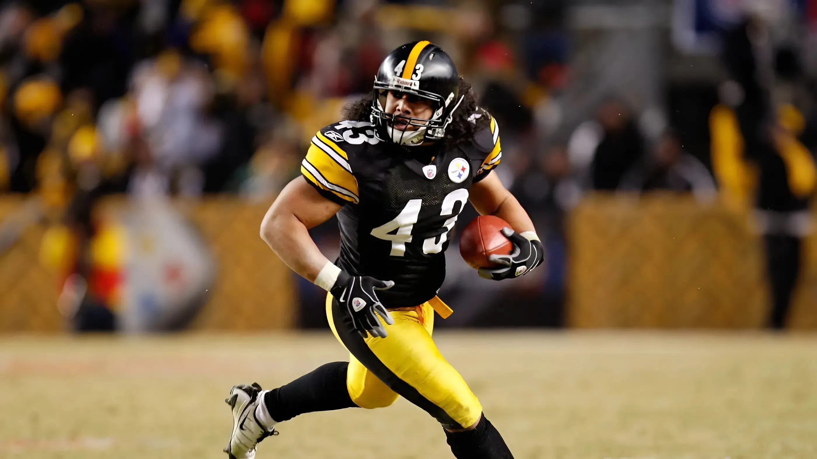 Steelers' Troy Polamalu Took A Huge Risk Going Rogue On Dick LeBeau's Defense