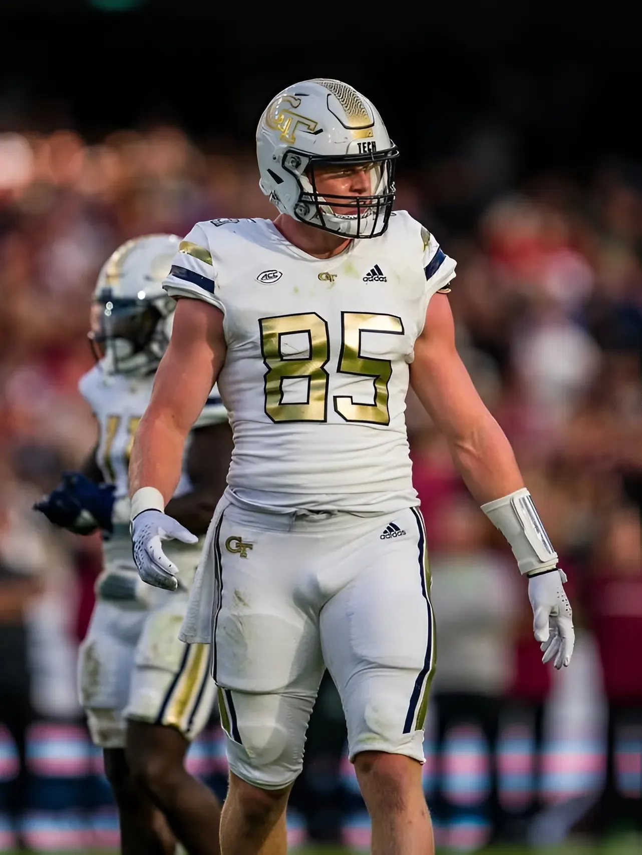 Bills envision draft's 'best blocking TE' as capable Dawson Knox backup and more