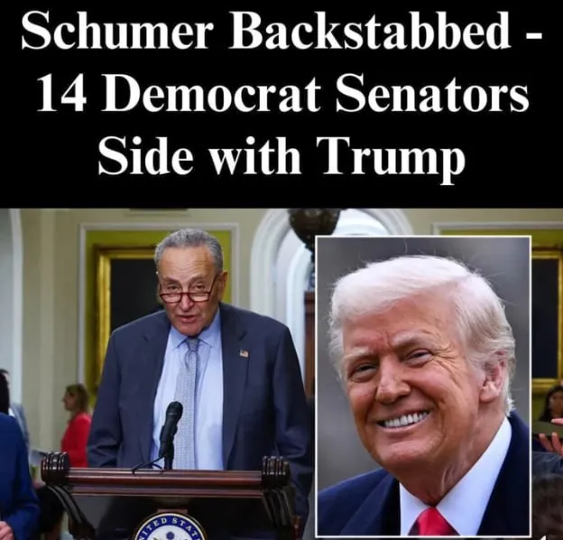 Dems Reject Schumer, Join Republicans To Give Trump Another Win Dems Reject Schumer, Join Republicans To Give Trump Another Win