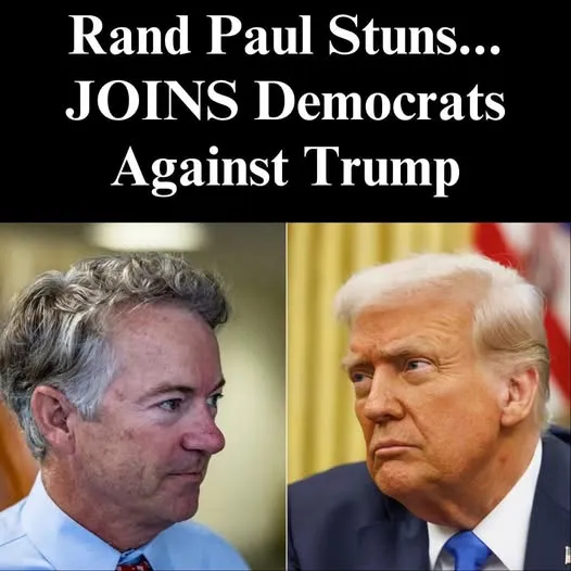 Rand Paul Says Trump’s Tariffs Are ‘Taxes’ Congress Must Approve