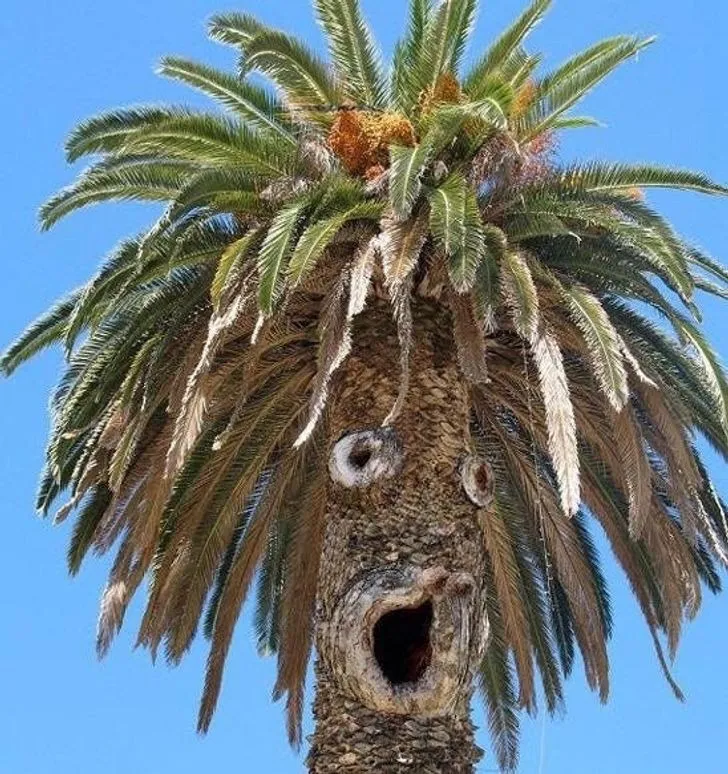 9.. Please Don’t Look At These 24 Pictures If You Have A Dirty Mind