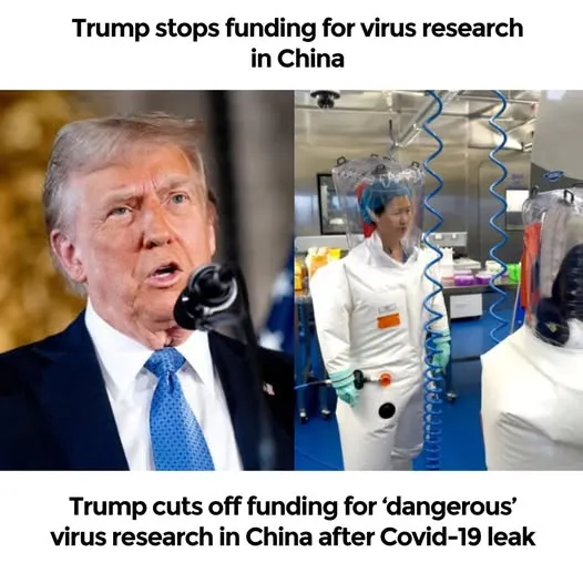 Trump cuts off funding for ‘dangerous’ virus research in China after Covid-19 leak