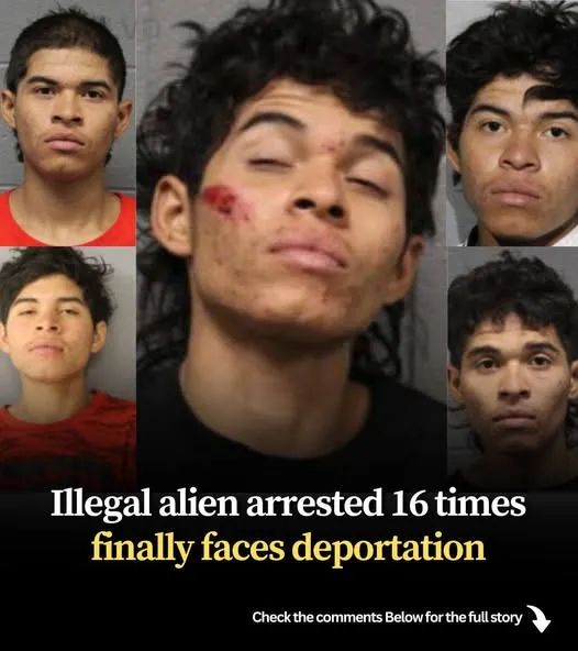 After 16 arrests, an illegal alien faces deportation.