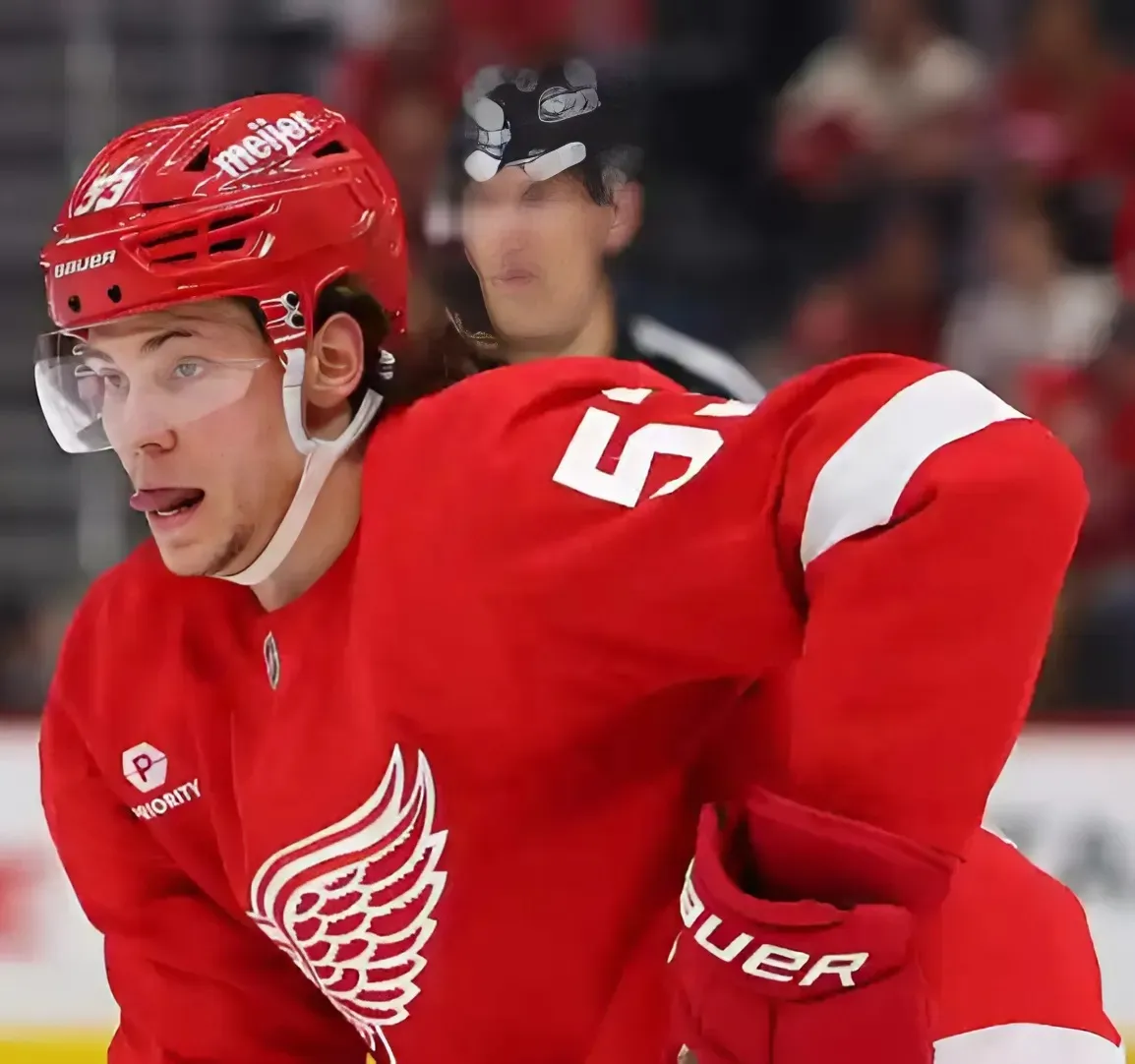 1 Free Agent Target for Red Wings at Every Position