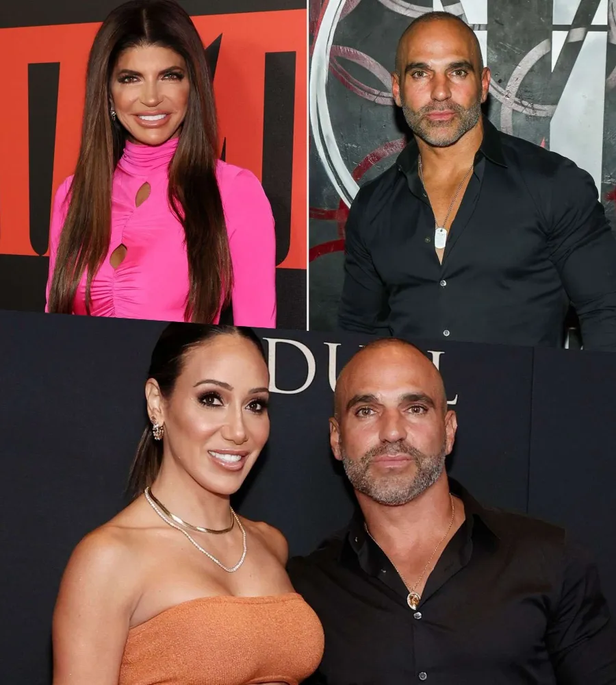 Teresa Giudice believes Melissa Gorga sent "toxic" and "vow-breaking" text messages to an ex while she was pregnant with one of her children.