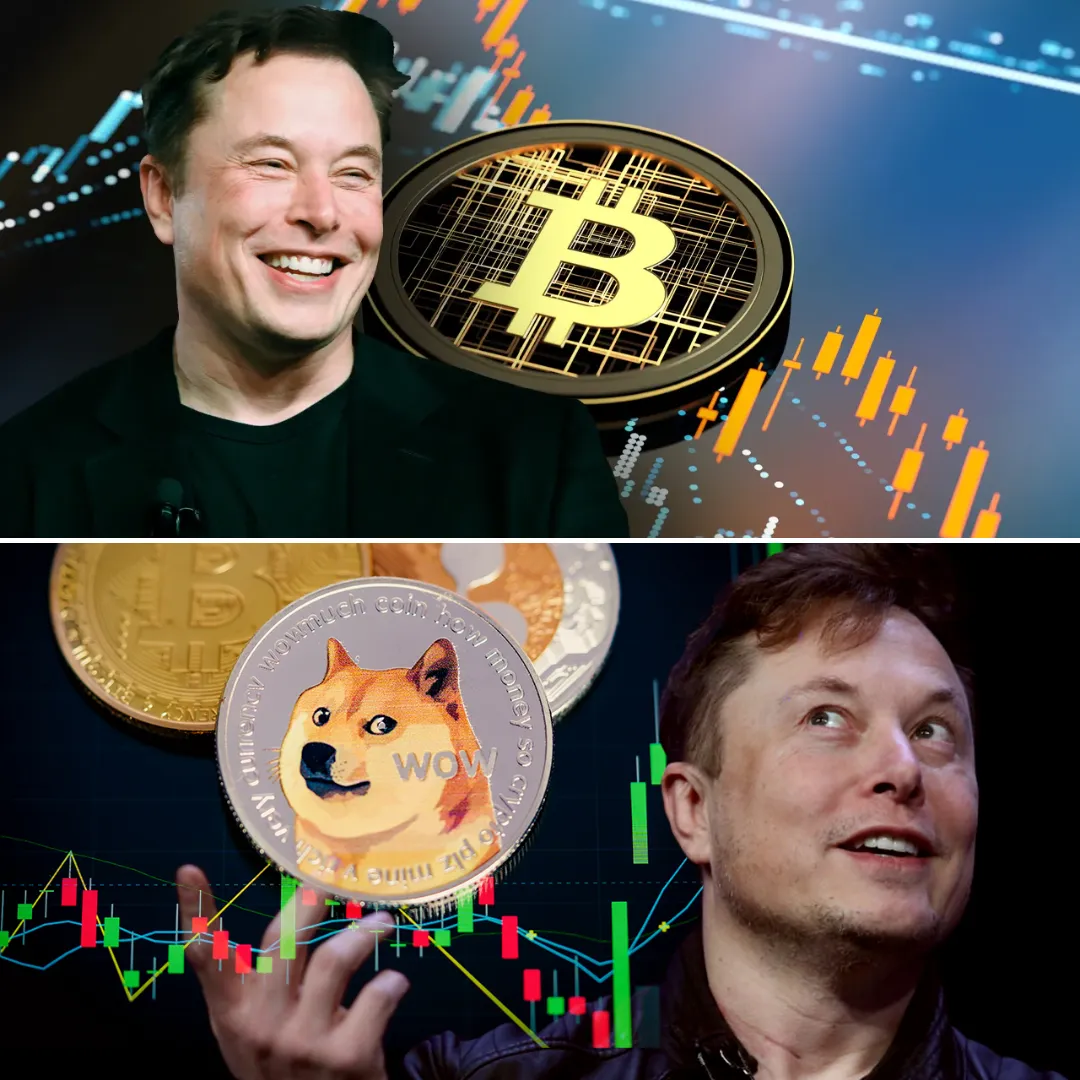 Elon Musk’s Shocking Move: Funding Cryptocurrency Surveillance to Control Financial Freedom