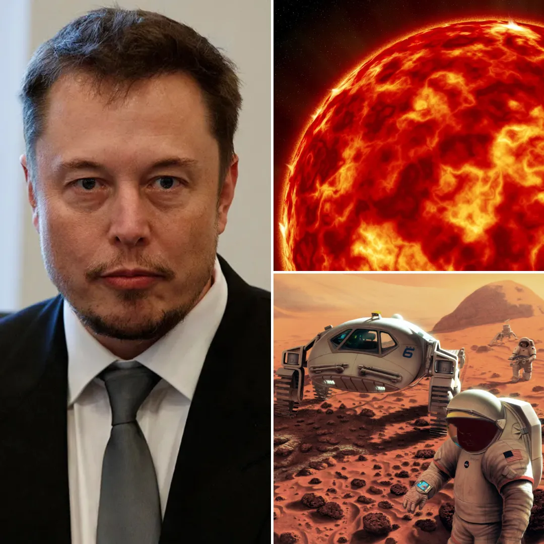 Elon Musk Warns: "All Life on Earth Will Eventually Be Annihilated by the Sun"