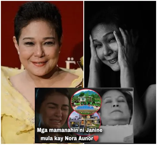 VERY BORED: Nora Aunor, INHERITS all the PROPERTY she left to Janine Gutierrez! CHILDREN DESTROYED!