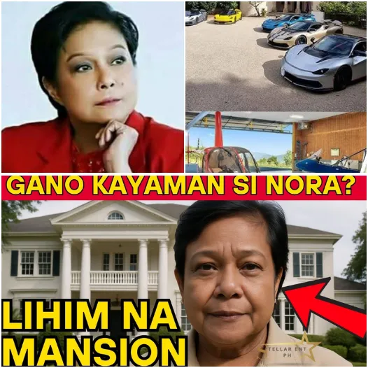 The Untold Fortune of Nora Aunor: A Bicol Mansion, Expansive Lands, and a Secret Vault of Treasures—What the Superstar Really Left Behind!