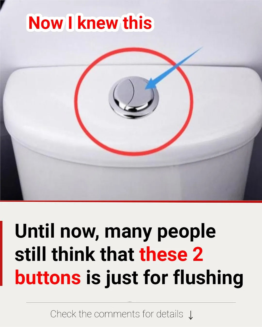 P3. Many people still think that these 2 buttons is just for flushing