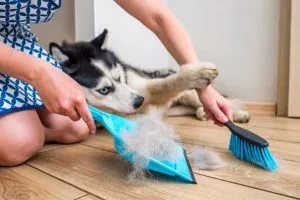 P3. 8 subtle signs that a person does not clean their home