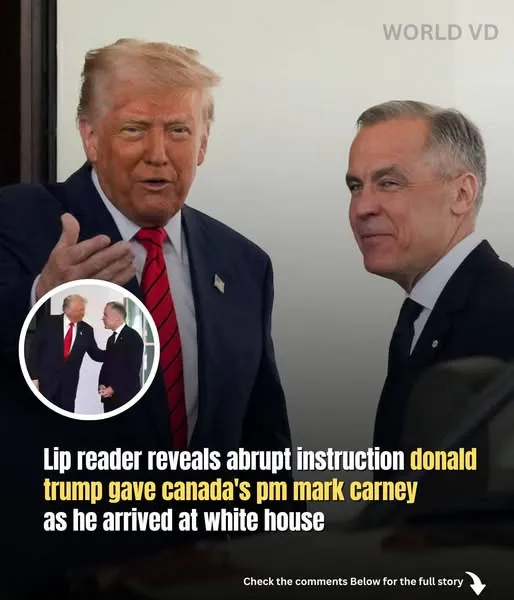 A lip reader’reveals’ the sudden directive that Donald Trump gave to Canadian Prime Minister Mark Carney upon his arrival at the White House.