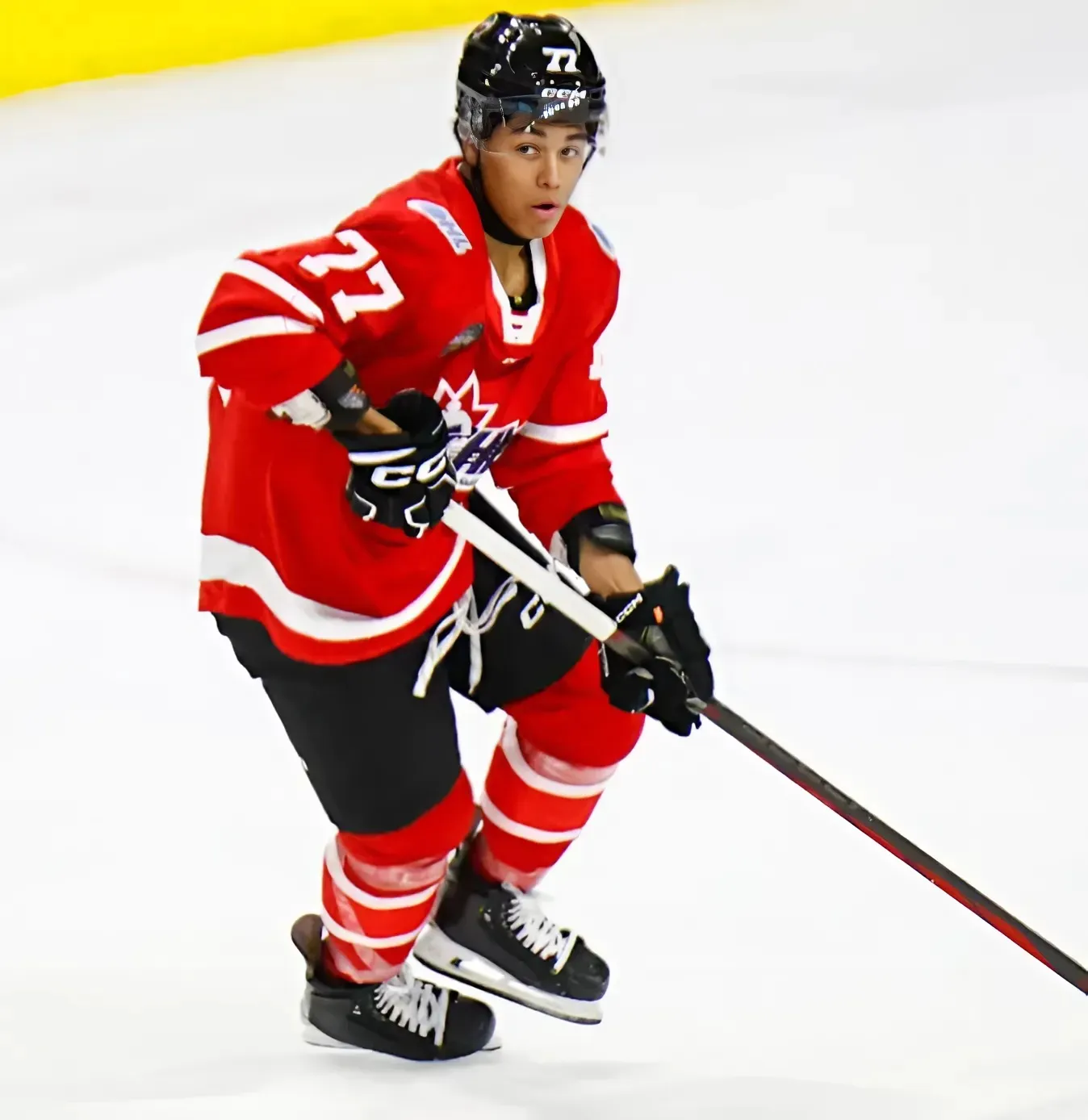 2 NHL Draft prospects Red Wings scouts must circle in red ink