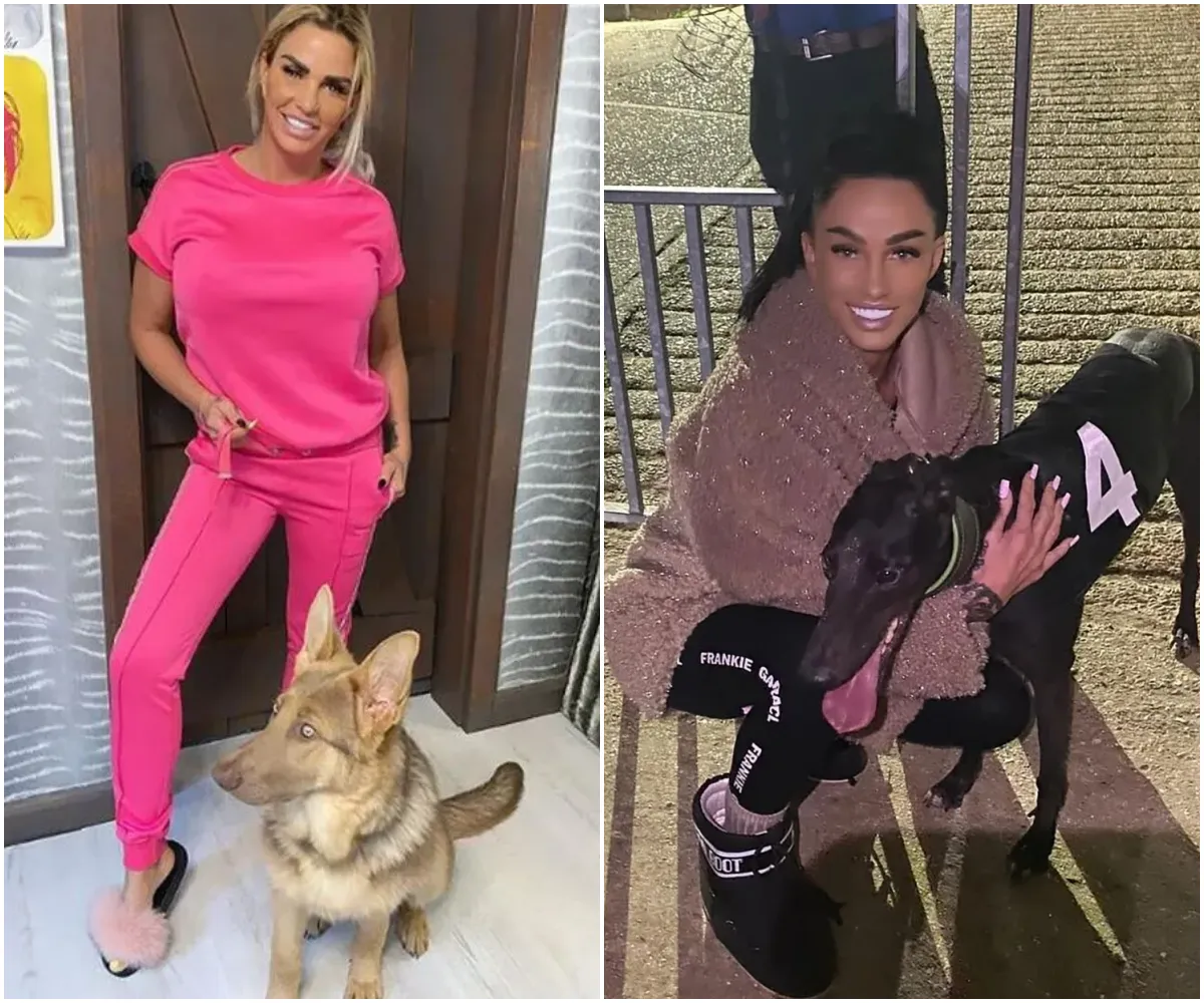 Katie Price slammed by animal charity over ‘dangerous’ pet move as they warn over potential ‘tragedy’ - suong