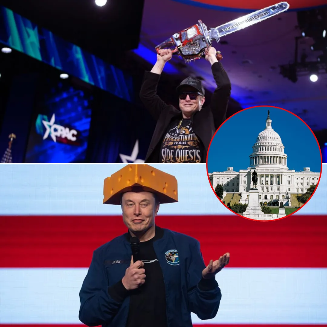 Chaos, Chainsaws and Scandal: Elon Musk’s Wild Ride in Washington Ends in Flames