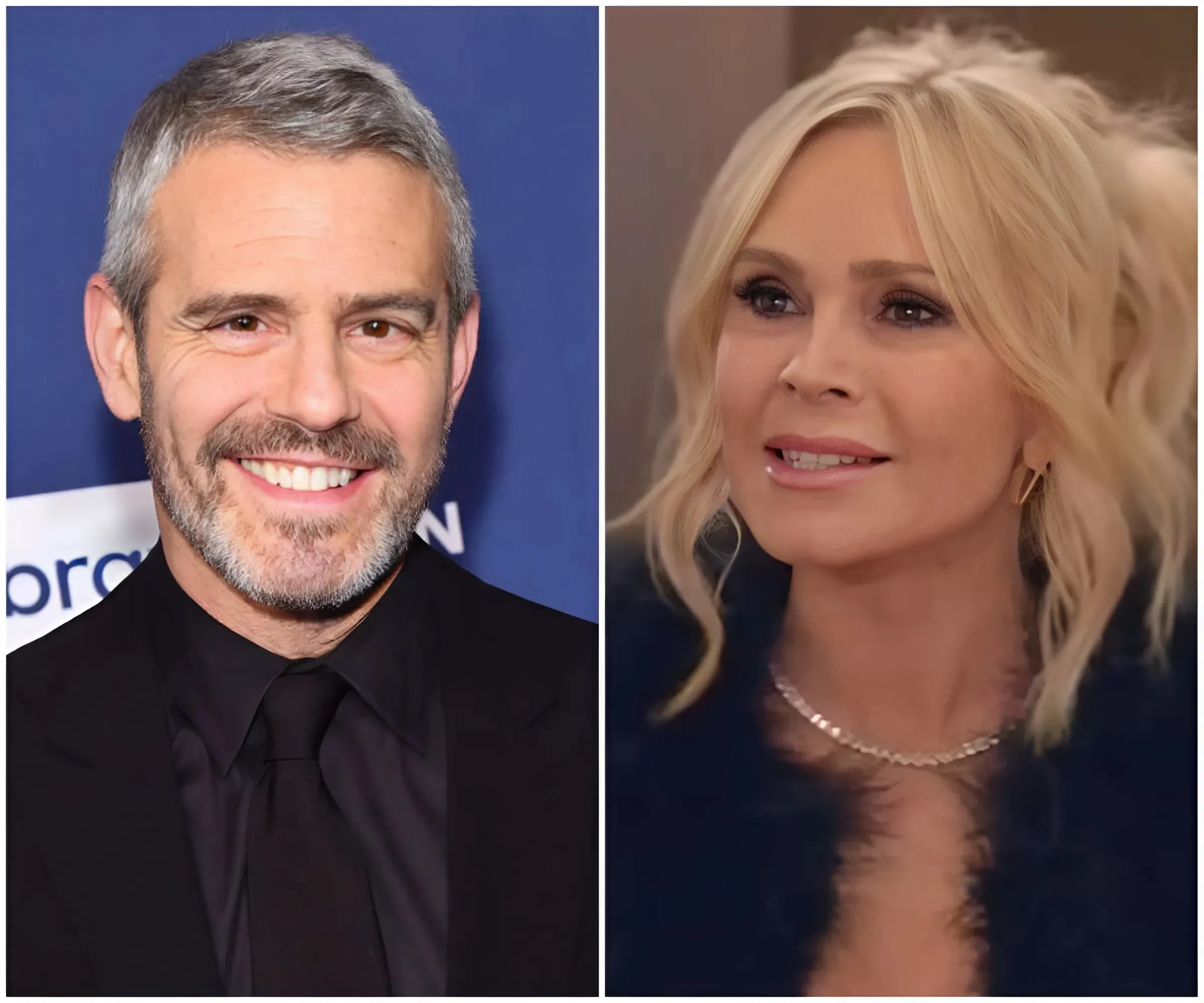 Shocking: Tamra Judge Involved In “Broken Puppy” Investigation, Bravo Decides To Suspend Her From Real Housewives of Orange County!
