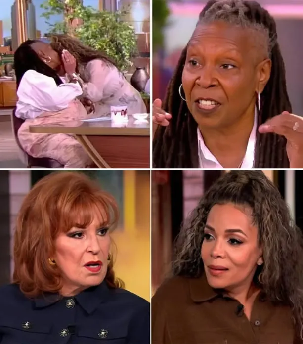 ‘The View’ Hosts In Hot Water After ABC Gives Them This Warning