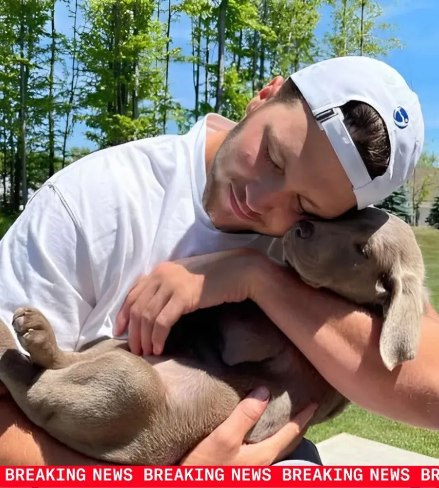 HOT NEWS: Josh Allen moved the online community when he pledged to invest 20 million dollars to build a “paradise” for stray dogs – where thousands of abandoned little creatures will find love, a home and a second chance in life!