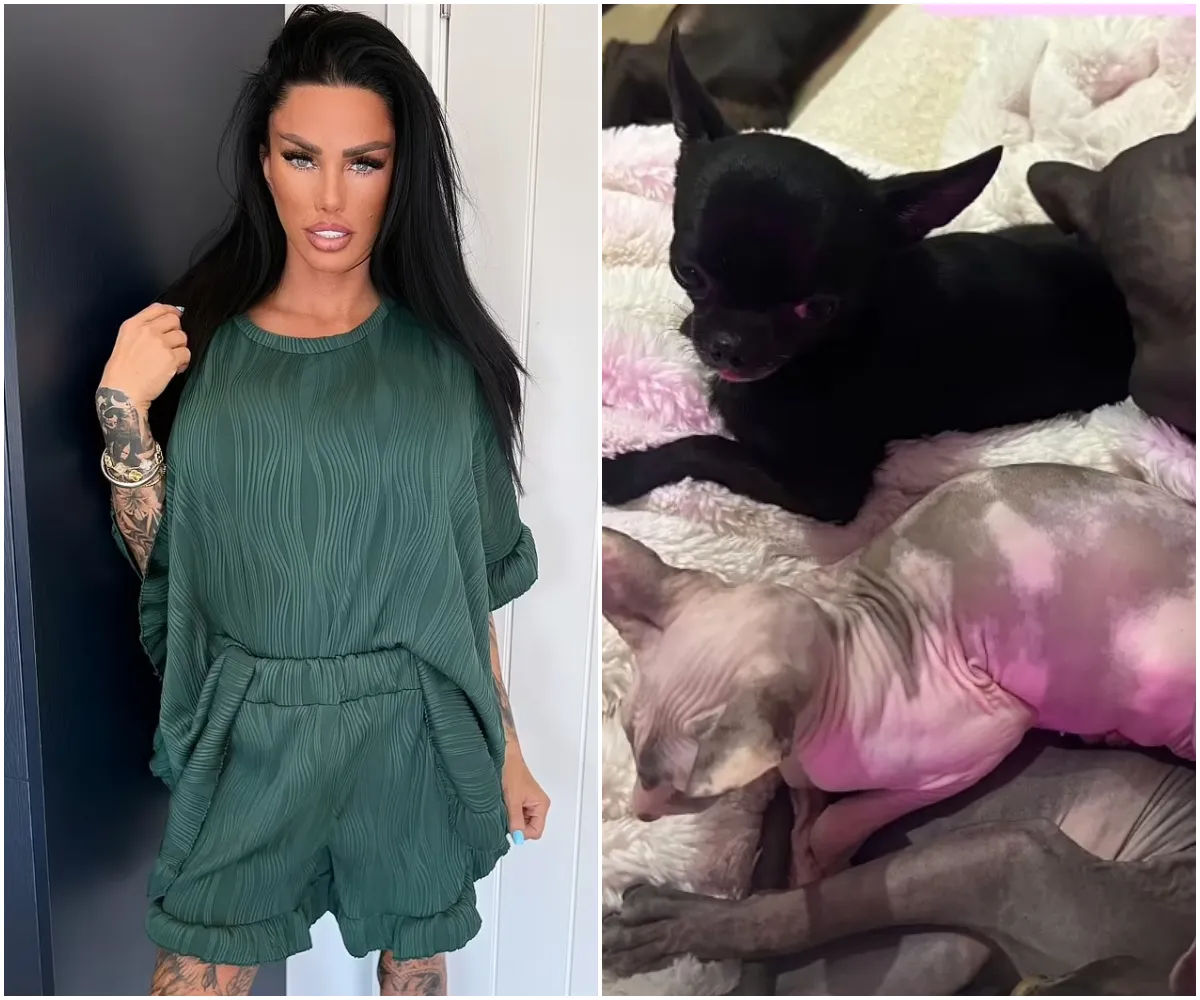 Katie Price shares photos of five of her pets after furious calls for the star to face lifetime ban on owning animals - suong
