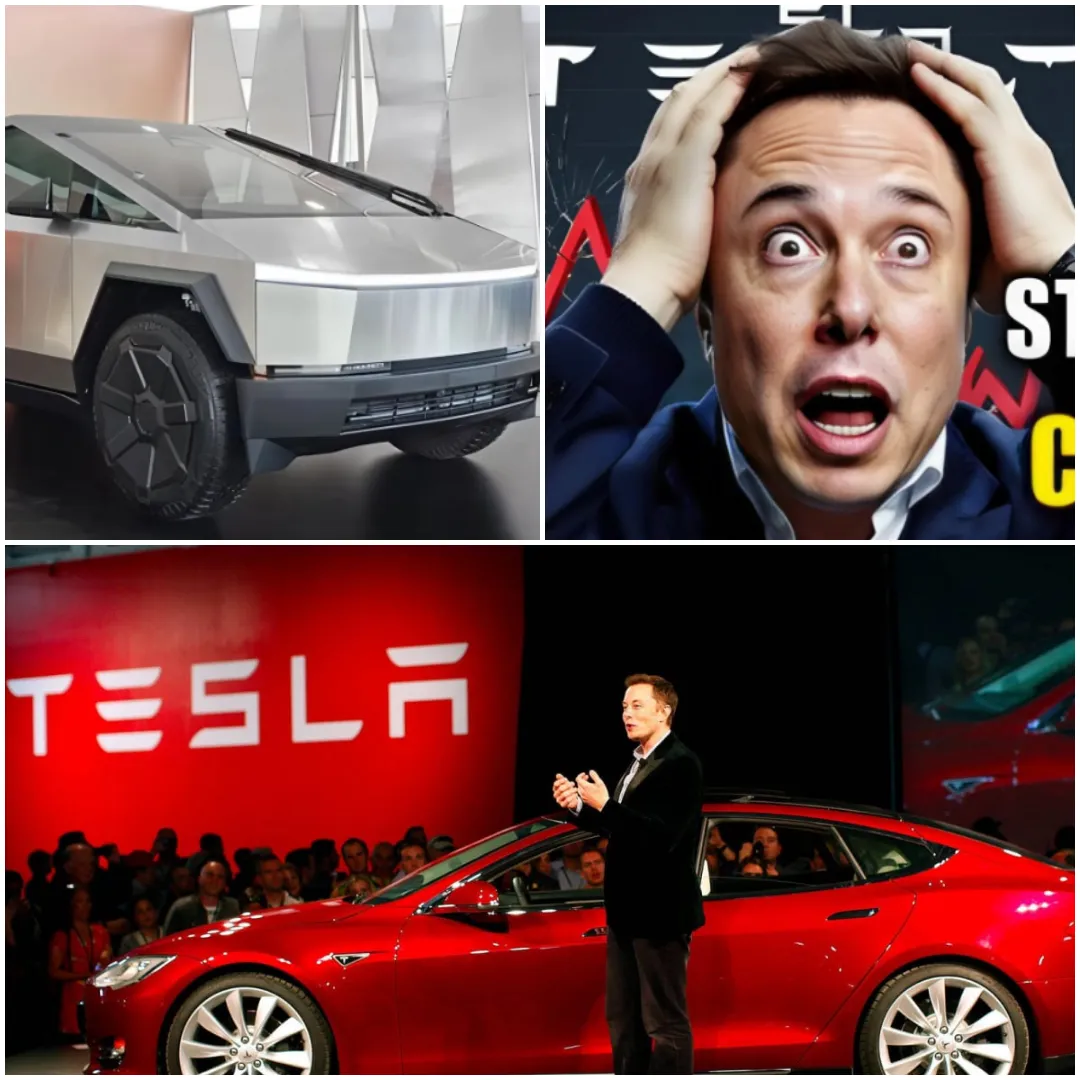 A stunning collapse wiped 800,000,000,000 dollars from Tesla’s worth in just four months—Elon Musk is under intense fire from inside the company