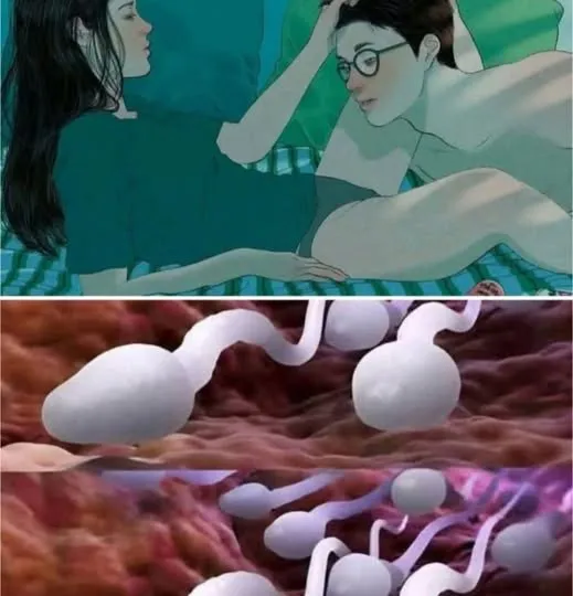 Many know! Studies reveal that swallowing your partner’s semen… See more