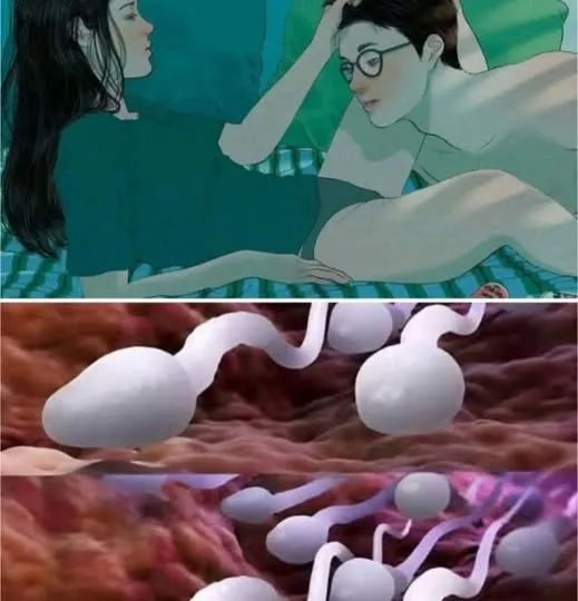 Many know! Studies reveal that swallowing your partner’s semen… See more