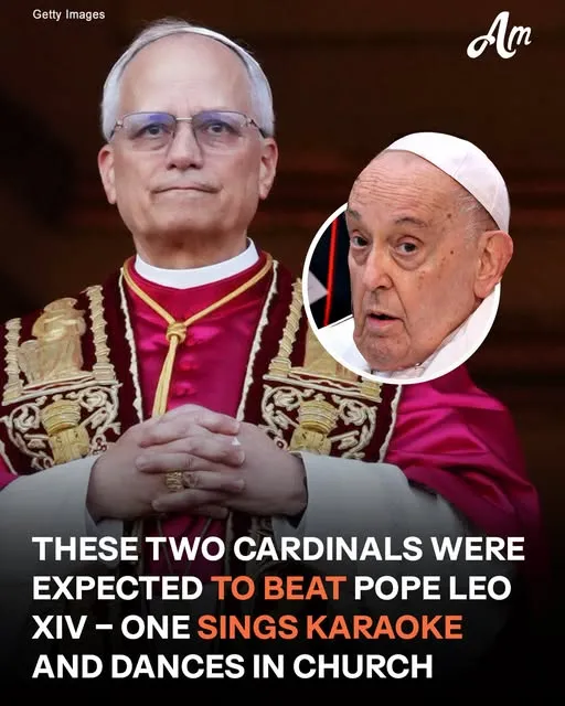Two Cardinals Who Nearly Became Pope Instead of Leo XIV – One Has a Surprising Hobby