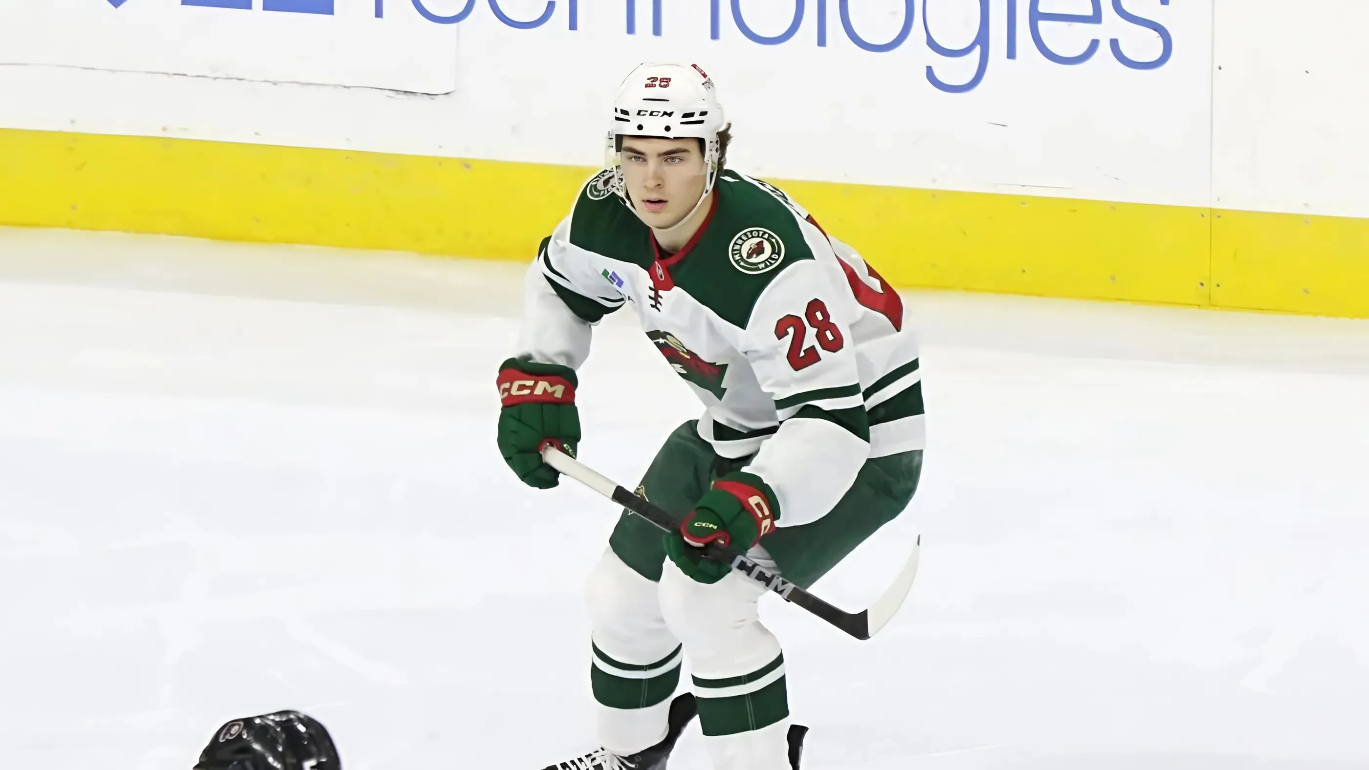 Wild 2024-25 Grade Reports: Liam Öhgren & Vinnie Hinostroza