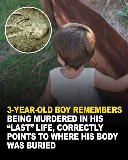 Toddler Claims to Remember Being Murdered in a Past Life and Identifies Where He Was Buried