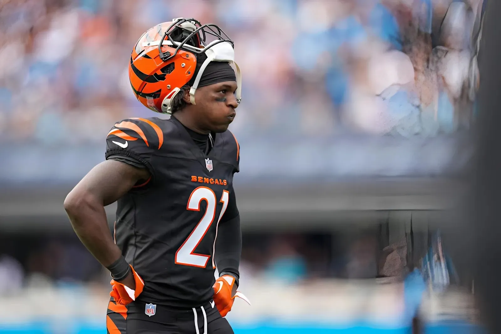 Panthers Urged To Sign $24 Million Free Agent