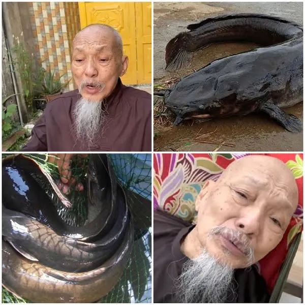 Trục vớt toàn bộ số cá trê trong hồ Tịnh Thất Bồng Lai, nhiều người không dám tin vào mắt mình sự thật bên dưới quá khungkhiep Trục vớt toàn bộ số cá trê trong hồ Tịnh Thất Bồng Lai, nhiều người không dám tin vào mắt mình sự thật bên dưới quá khungkhiep