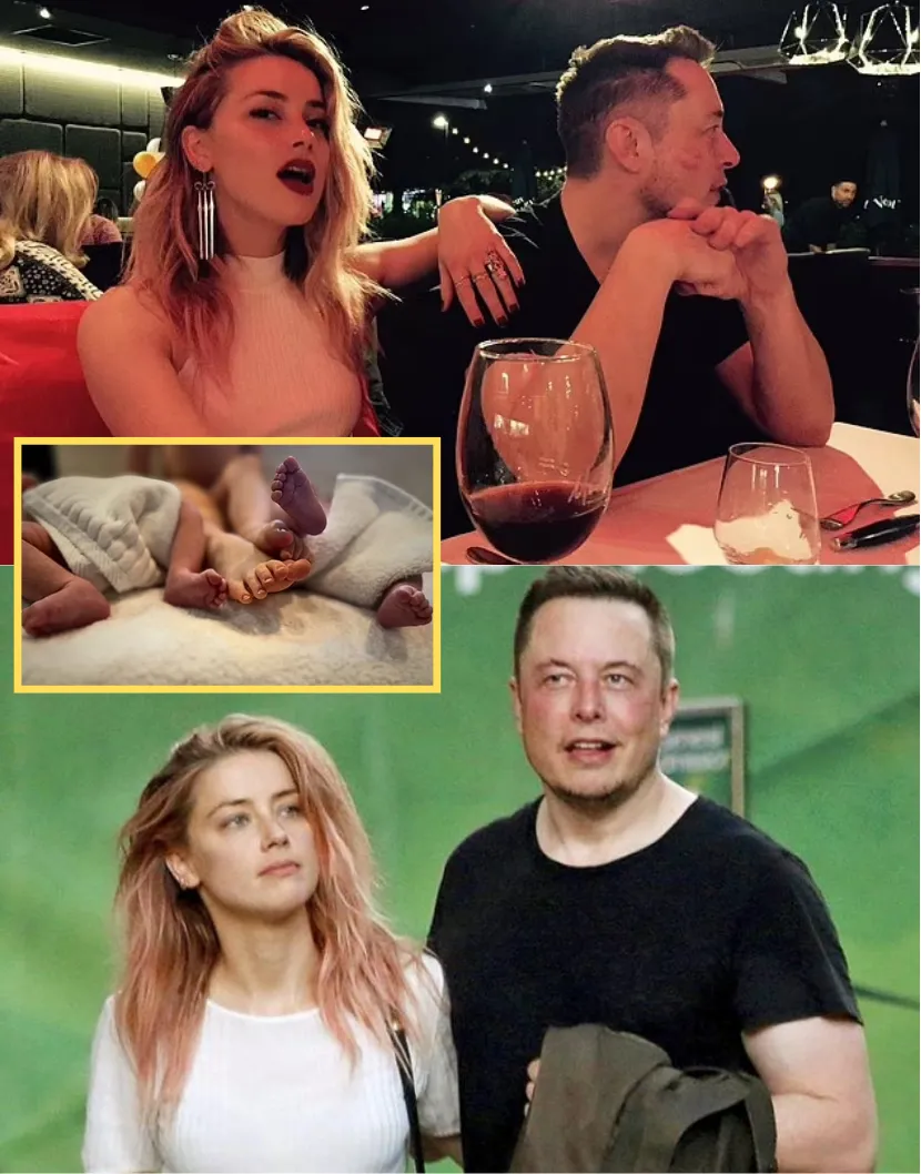 Elon Musk at Center of Shocking Baby Scandal: Explosive Rumors Swirl as Amber Heard Welcomes Surprise Twins—Secret Romance and Hidden Paternity Claims Rock Hollywood